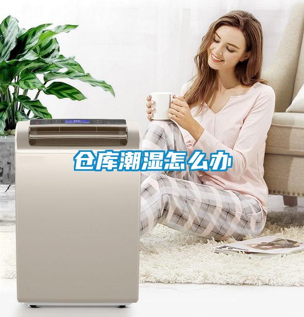 倉(cāng)庫(kù)潮濕怎么辦