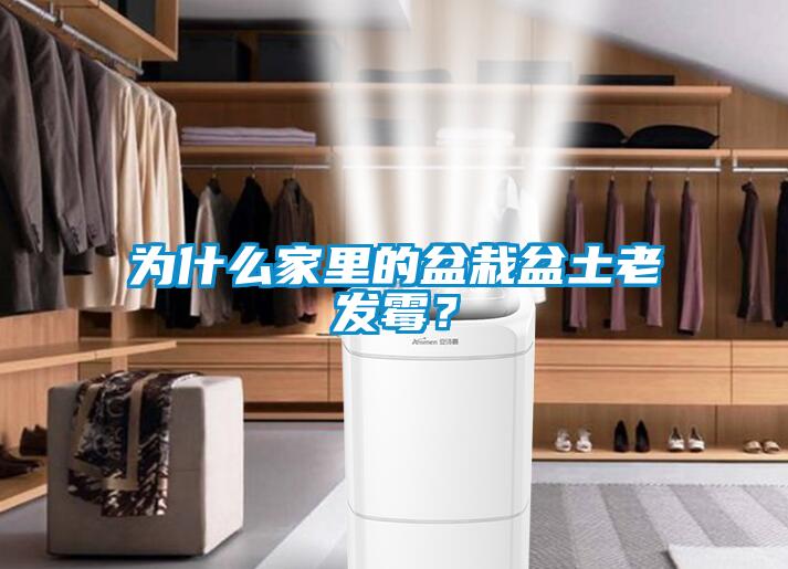 為什么家里的盆栽盆土老發(fā)霉？