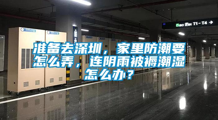 準(zhǔn)備去深圳，家里防潮要怎么弄，連陰雨被褥潮濕怎么辦？