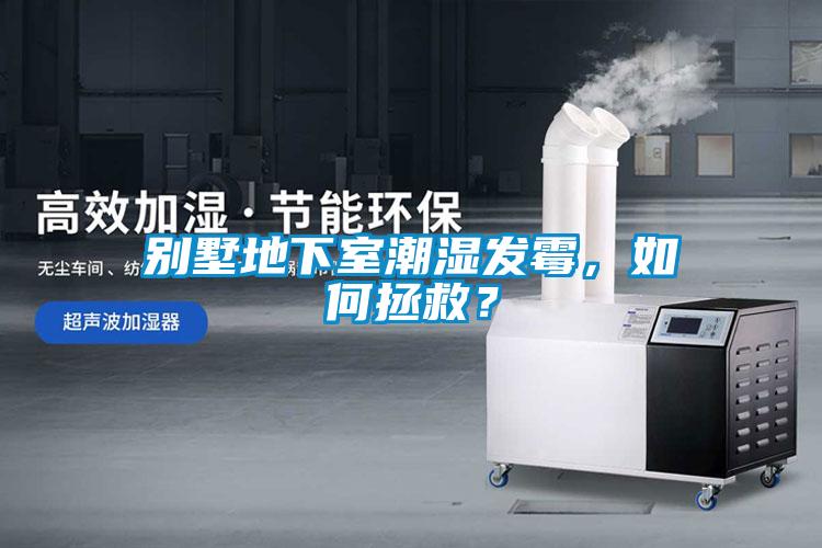別墅地下室潮濕發(fā)霉，如何拯救？