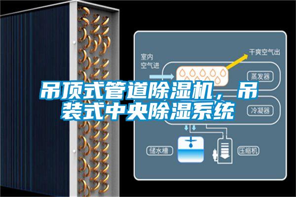 吊頂式管道除濕機，吊裝式中央除濕系統
