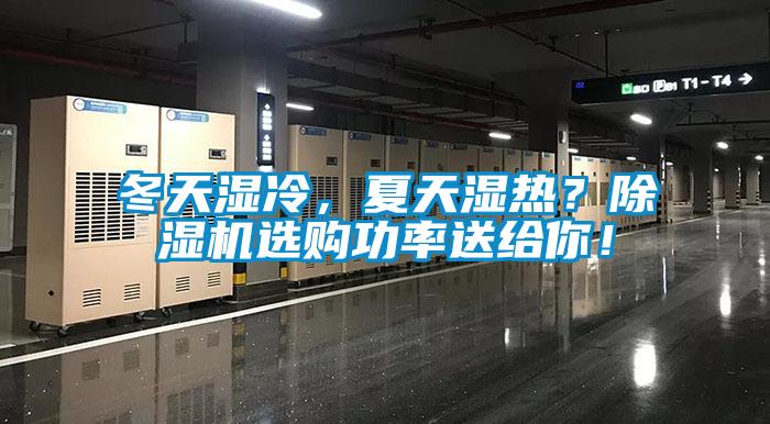 冬天濕冷，夏天濕熱？除濕機選購功率送給你！