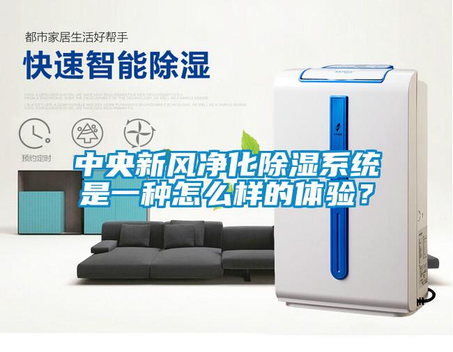 中央新風(fēng)凈化除濕系統(tǒng)是一種怎么樣的體驗？