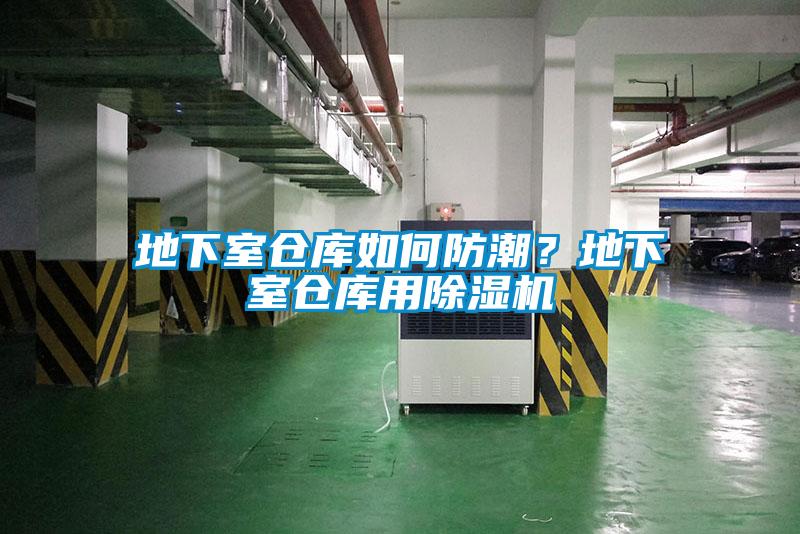 地下室倉庫如何防潮？地下室倉庫用除濕機