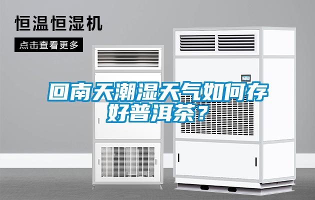回南天潮濕天氣如何存好普洱茶？