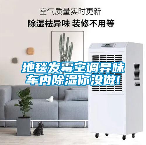 地毯發(fā)霉空調異味車內除濕你沒做!