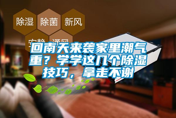 回南天來襲家里潮氣重？學(xué)學(xué)這幾個除濕技巧，拿走不謝