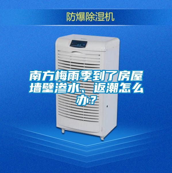 南方梅雨季到了房屋墻壁滲水、返潮怎么辦？