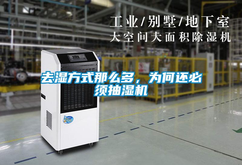 去濕方式那么多，為何還必須抽濕機(jī)