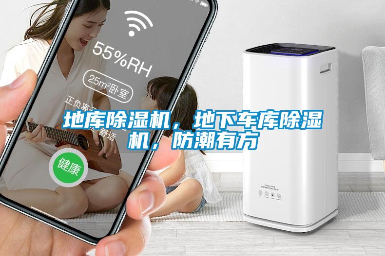 地庫(kù)除濕機(jī)，地下車庫(kù)除濕機(jī)，防潮有方