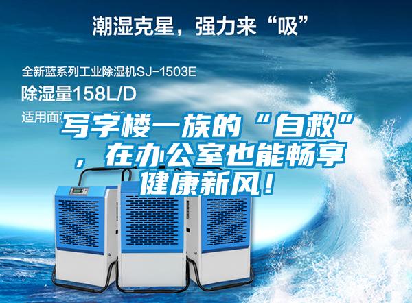 寫字樓一族的“自救”，在辦公室也能暢享健康新風(fēng)！