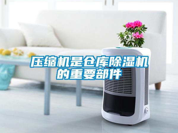 壓縮機(jī)是倉(cāng)庫(kù)除濕機(jī)的重要部件