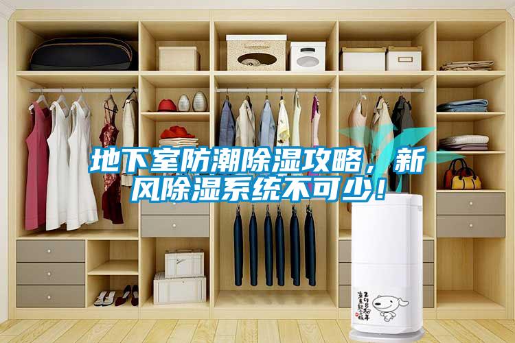 地下室防潮除濕攻略,新風(fēng)除濕系統(tǒng)不可少!