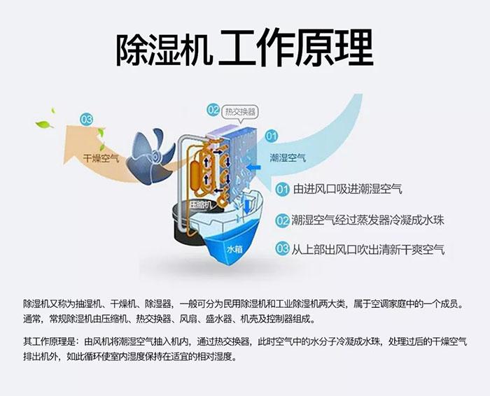 安詩曼除濕機(jī)廠家