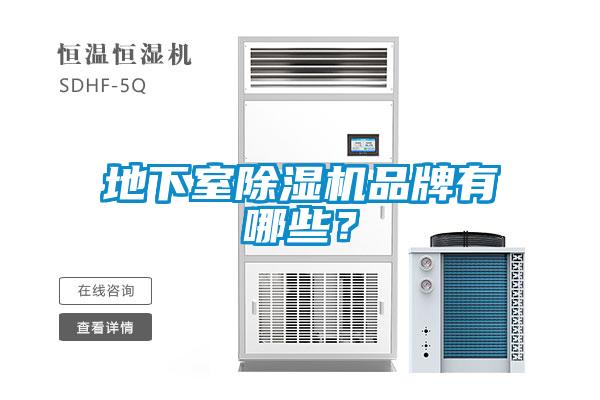 地下室除濕機(jī)品牌有哪些？