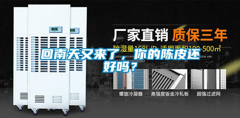 回南天又來了，你的陳皮還好嗎？