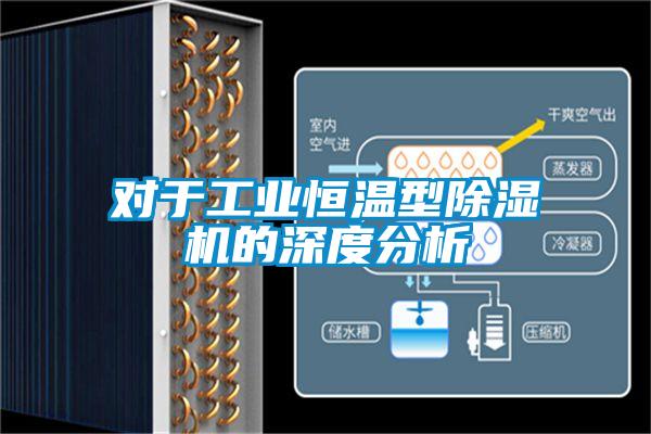 對(duì)于工業(yè)恒溫型除濕機(jī)的深度分析