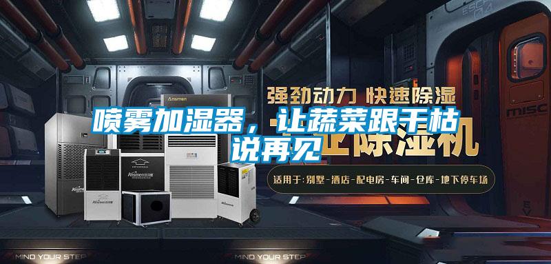 噴霧加濕器，讓蔬菜跟干枯說再見