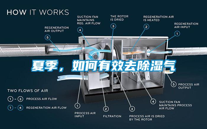 夏季，如何有效去除濕氣