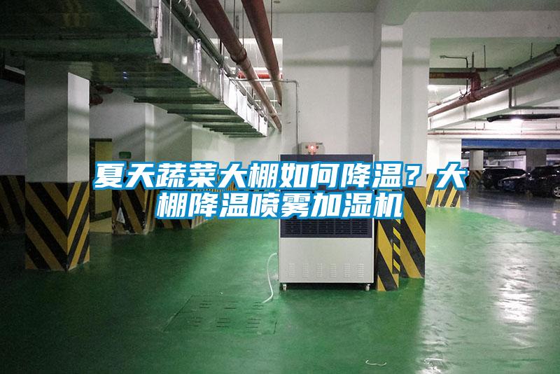 夏天蔬菜大棚如何降溫？大棚降溫噴霧加濕機(jī)