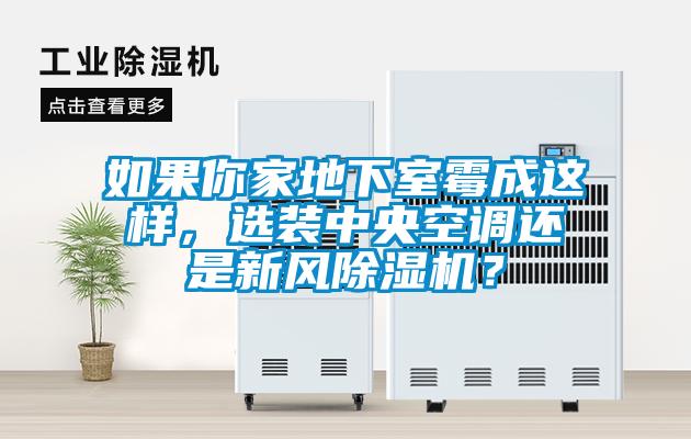如果你家地下室霉成這樣，選裝中央空調(diào)還是新風(fēng)除濕機(jī)？