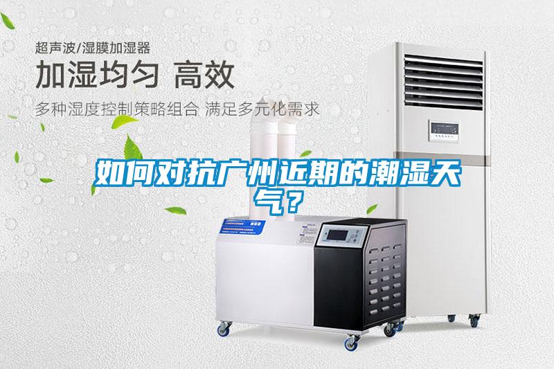 如何對抗廣州近期的潮濕天氣？