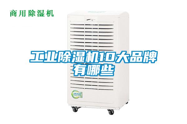 工業(yè)除濕機(jī)10大品牌有哪些