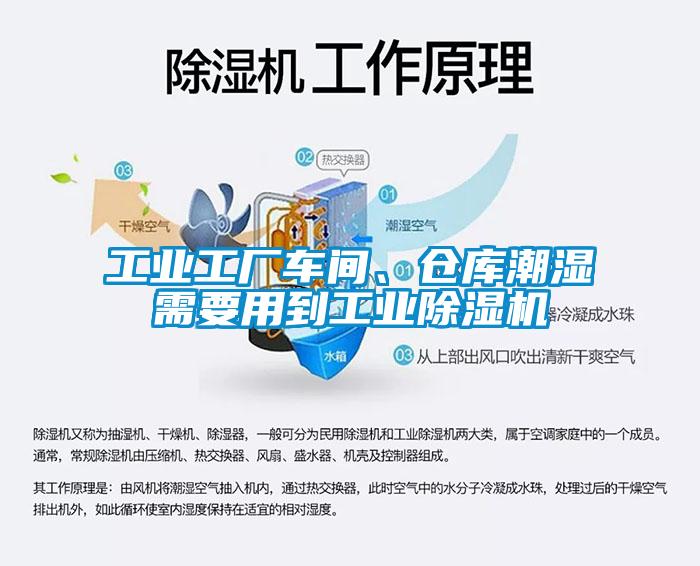 工業(yè)工廠車(chē)間、倉(cāng)庫(kù)潮濕需要用到工業(yè)除濕機(jī)