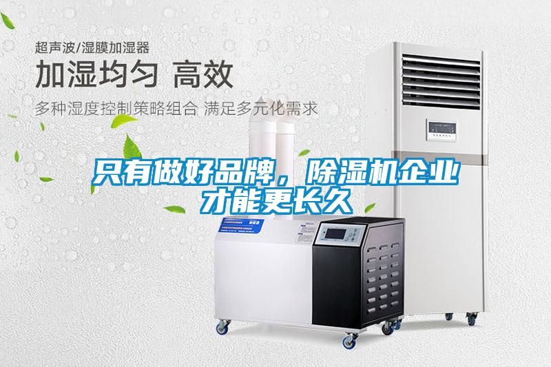 只有做好品牌，除濕機企業(yè)才能更長久