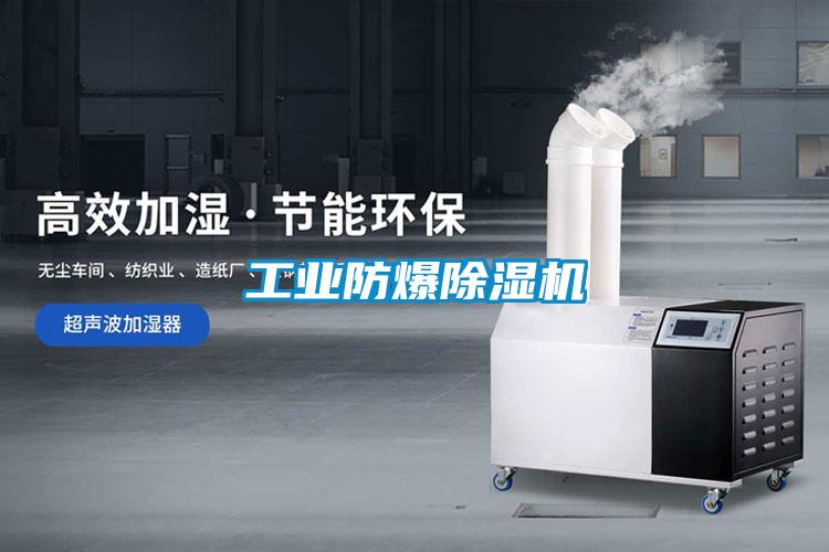 工業(yè)防爆除濕機(jī)
