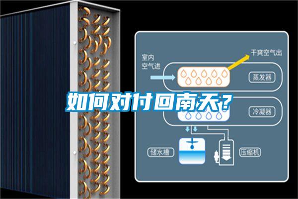 如何對(duì)付回南天？