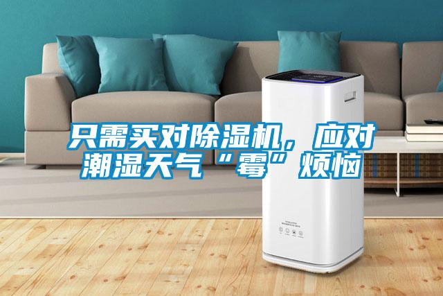 只需買對(duì)除濕機(jī)，應(yīng)對(duì)潮濕天氣“霉”煩惱