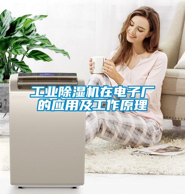 工業(yè)除濕機在電子廠的應(yīng)用及工作原理