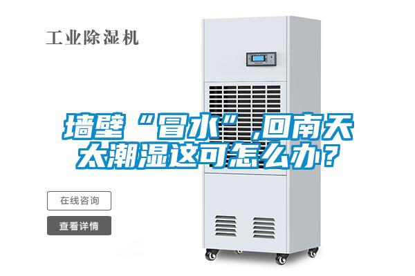 墻壁“冒水”,回南天太潮濕這可怎么辦？