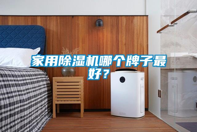 家用除濕機(jī)哪個牌子最好？