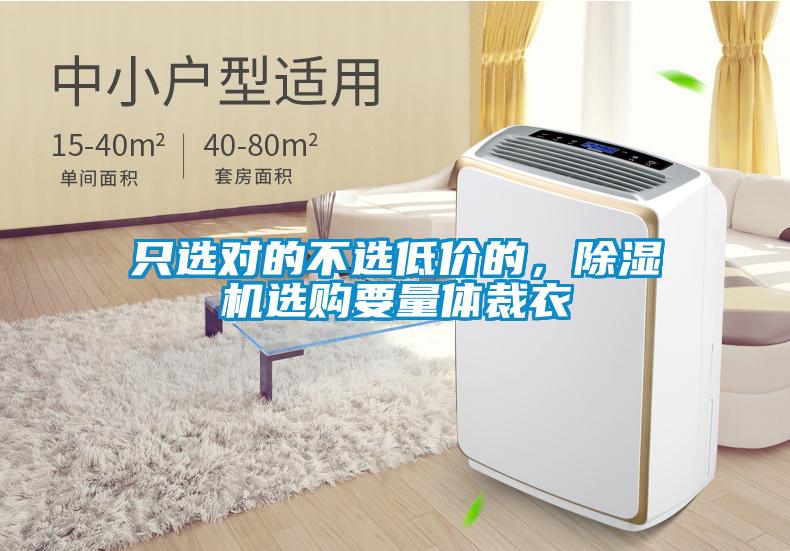 只選對(duì)的不選低價(jià)的，除濕機(jī)選購(gòu)要量體裁衣