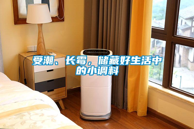 受潮、長霉，儲藏好生活中的小調(diào)料