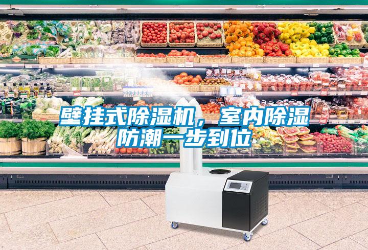 壁掛式除濕機(jī)，室內(nèi)除濕防潮一步到位