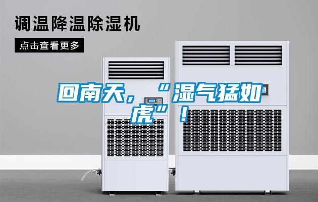 回南天，“濕氣猛如虎”！