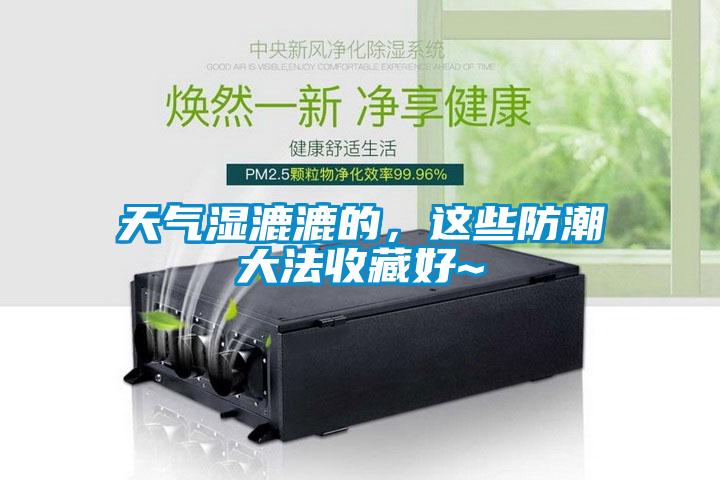 天氣濕漉漉的，這些防潮大法收藏好~