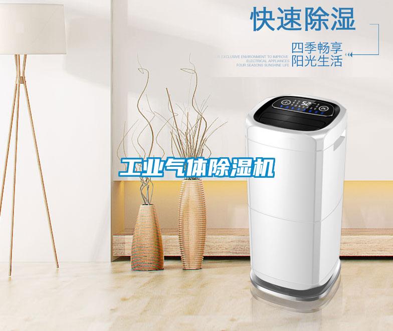 工業(yè)氣體除濕機