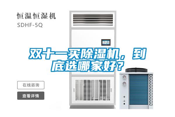 雙十一買除濕機(jī)，到底選哪家好？