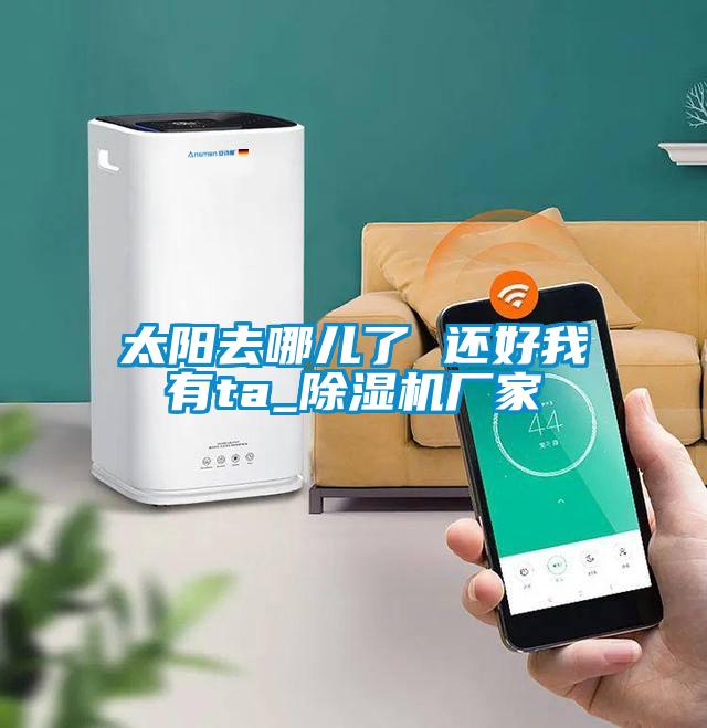 太陽(yáng)去哪兒了 還好我有ta_除濕機(jī)廠家