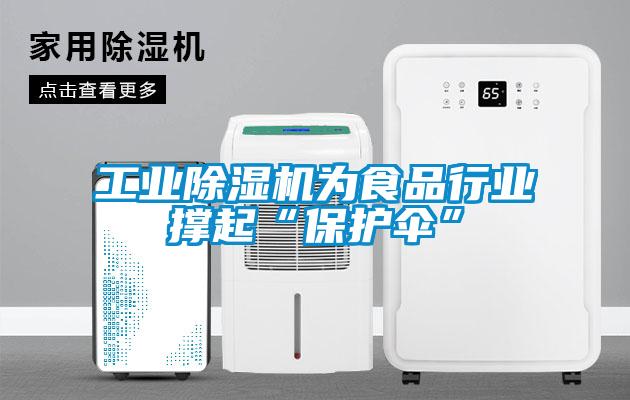 工業(yè)除濕機為食品行業(yè)撐起“保護傘”