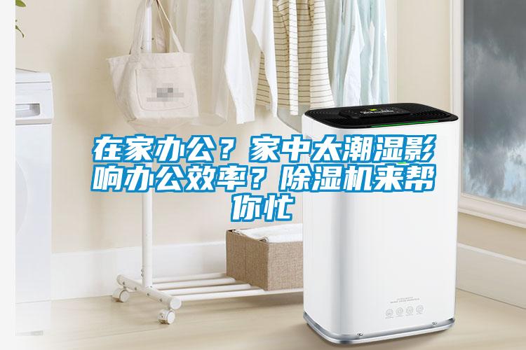 在家辦公？家中太潮濕影響辦公效率？除濕機來幫你忙
