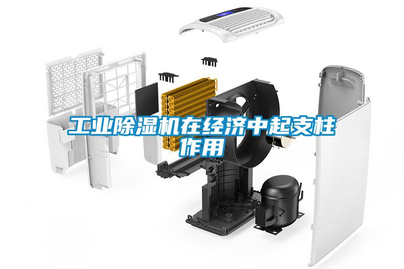 工業(yè)除濕機在經濟中起支柱作用