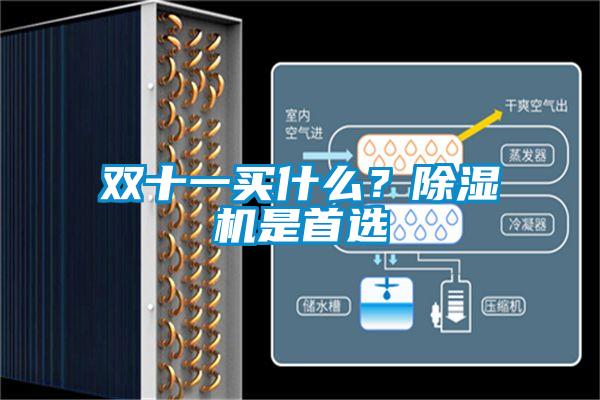 雙十一買什么？除濕機是首選
