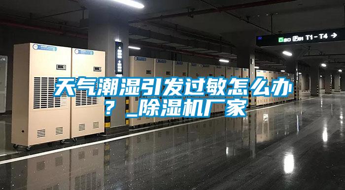 天氣潮濕引發(fā)過敏怎么辦？_除濕機(jī)廠家