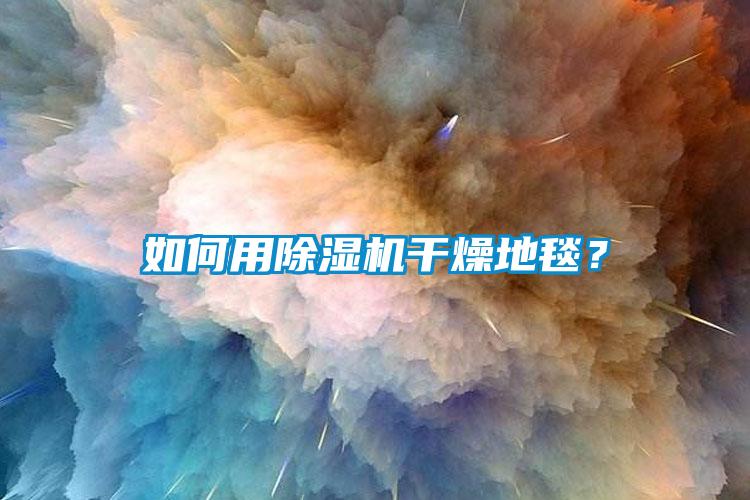如何用除濕機(jī)干燥地毯？