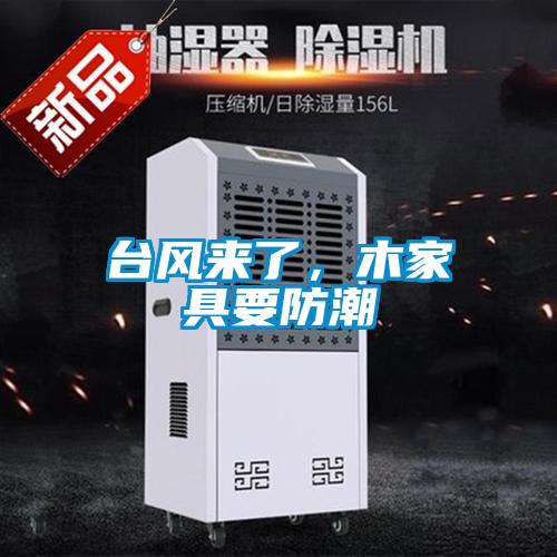 臺風(fēng)來了，木家具要防潮